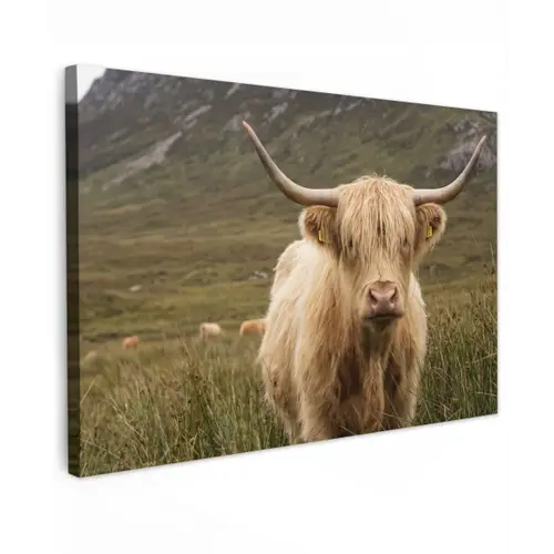 Schotse hooglander - Bergen - Grasveld Tuinposter op houten frame 2 cm dik klein -3d