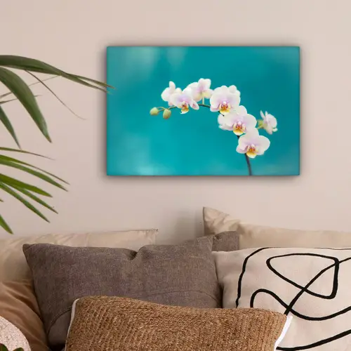 Orchidee - Bloemen - Plant - Wit - Paars canvas 2cm klein -sfeer1