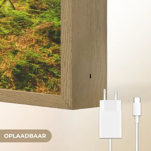 Bomen - Steen - Bos - Natuur - Planten Light Box met batterij (Wandlamp) middel -USP_websiteoplaadbaarNL