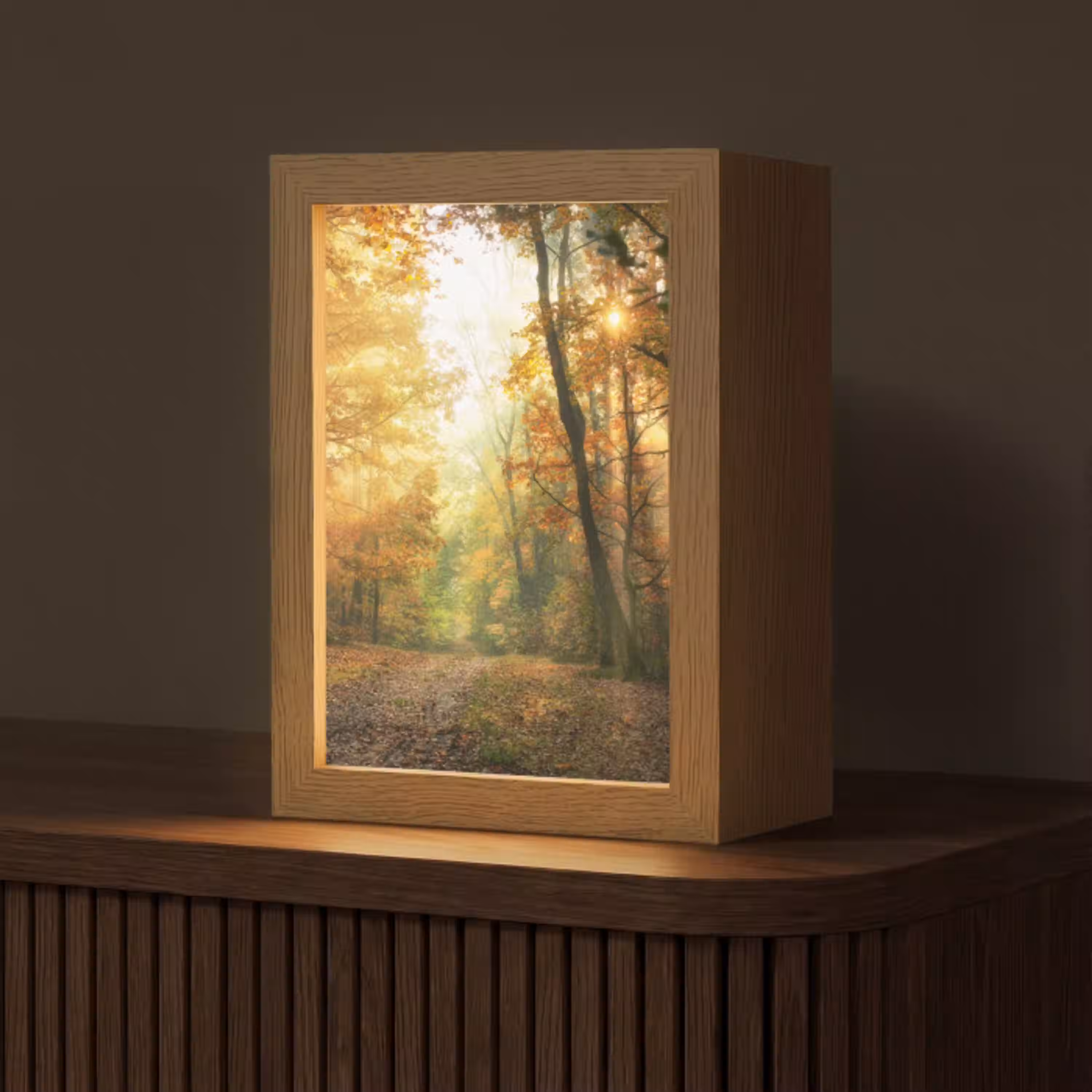 Bos - Herfst - Zon - Landschap - Natuur - Bomen - Bladeren Light Box met kabel (Tafellamp) klein -z3d_website
