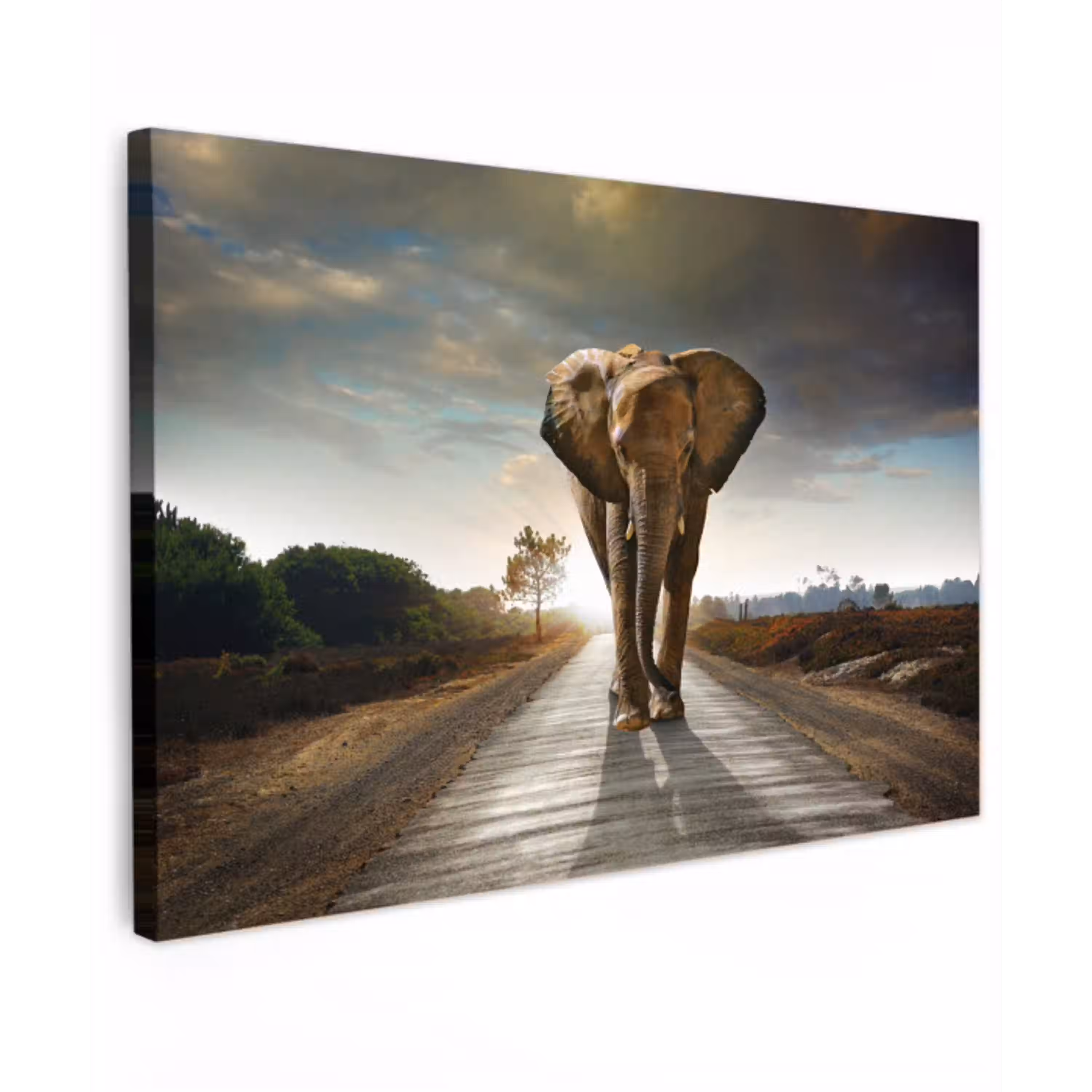Olifant - Weg - Dieren - Zonsondergang - Landschap canvas 2cm klein -z3d