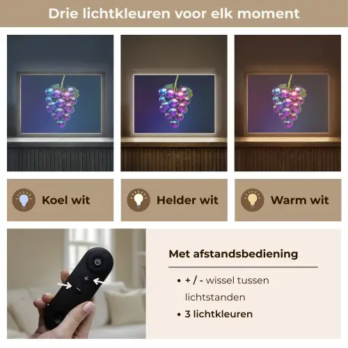 Paars - Disco - Feest - Druif Light Box met batterij (Wandlamp) middel -USP_lichtkleurNL