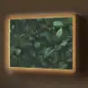 Bladeren - Ovaal - Groen - Nerven Light Box met batterij (Wandlamp) middel -z3d_website
