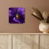 Paars - Viool - Diepte plexiglas 5mm klein -sfeer5