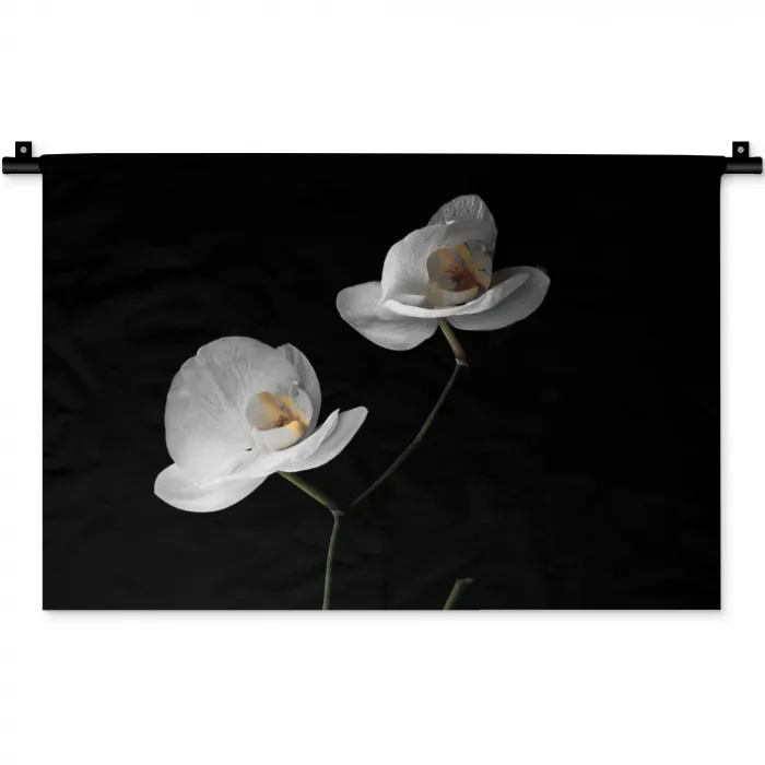 Orchidee - Bloemen - Zwart - Wit - Stilleven Wandkleed katoen klein -zz3d