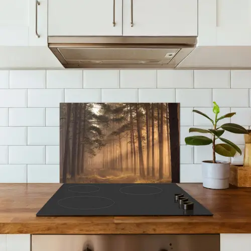 Bos - Mist - Zonlicht keuken achterwand spatscherm klein -sfeer2