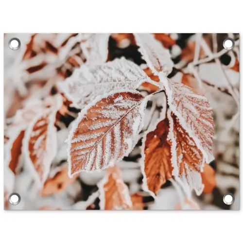 Bladeren - IJs - Winter - Natuur tuinposter los doek klein -3d