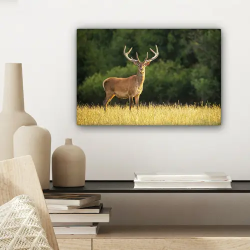Hert - Gewei - Gras - Natuur - Dieren - Groen canvas 2cm klein -sfeer6