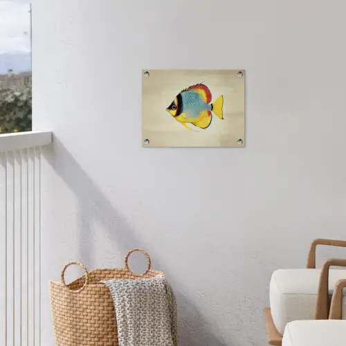 Kleurrijk - Vis - Schubben - Illustratie tuinposter los doek klein -sfeer8