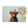 Schotse Hooglander - Bruin - Hoorns - Kokskleding Placemat vinyl groot -zzzproduct_Kitchenyeah-website