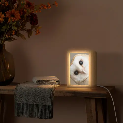 Uil - Bruin - Wit Light Box met kabel (Tafellamp) klein -sfeer4