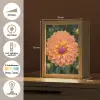 Dahlia - Bloem - Oranje Light Box met kabel (Tafellamp) klein -USP_NL