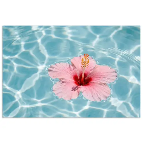 Hibiscus - Water - Roze poster papier klein -3d