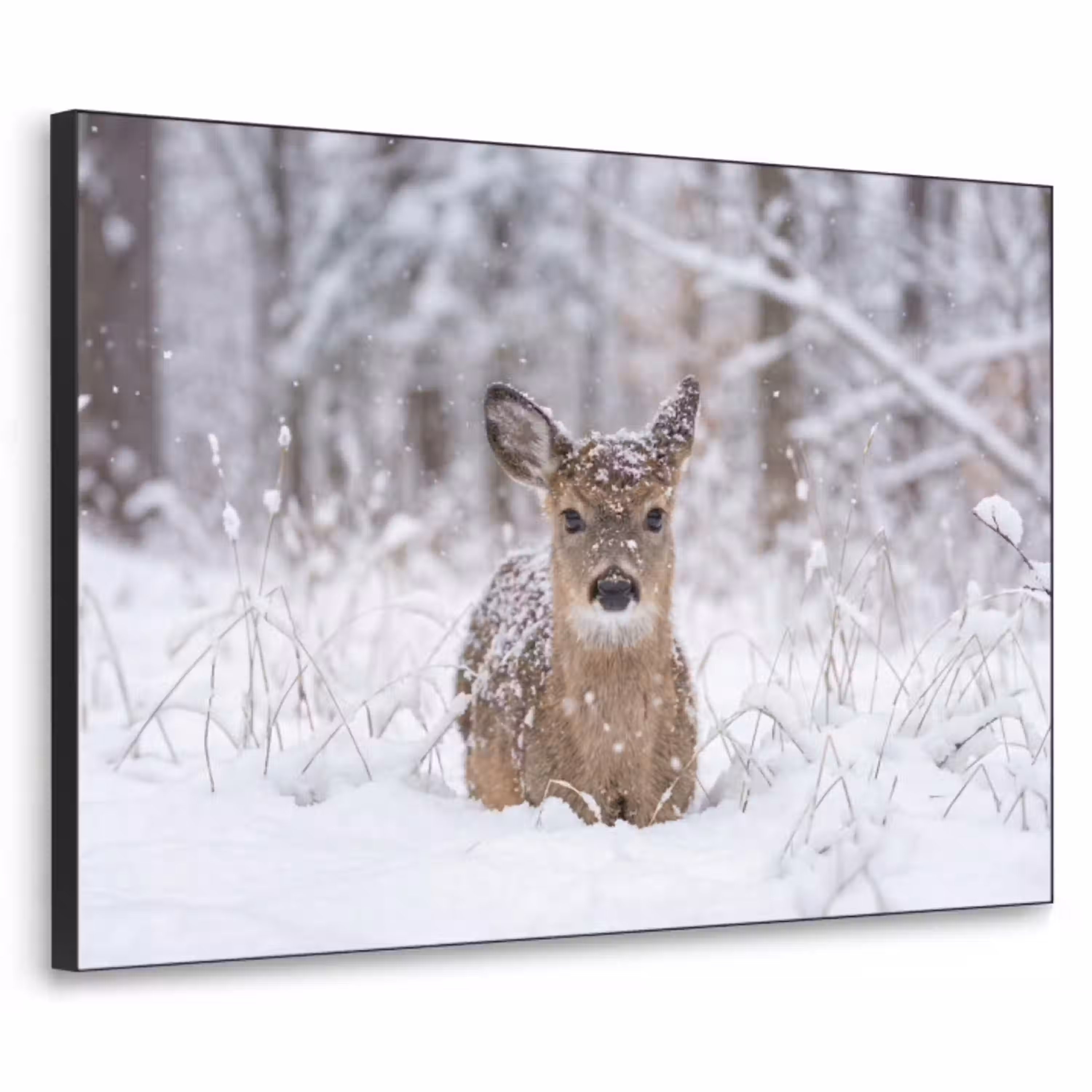 Hert - Sneeuw - Bos - Dieren - Vertederend Textielframe zwart klein -3d