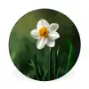 Narcis - Bloem - Wit - Grassprieten Wandcirkel aluminium klein -3d