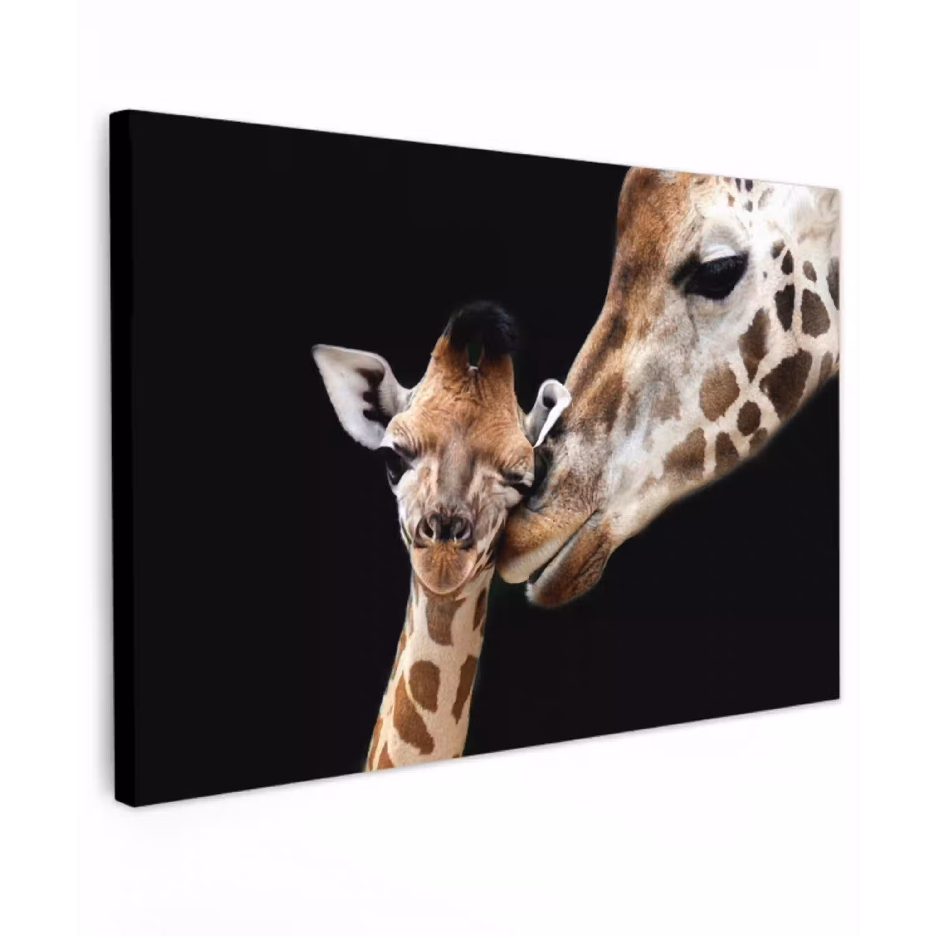 Giraffe - Dieren - Zwart - Portret - Dieren Tuinposter op houten frame 2 cm dik klein -3d