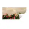 Rozen - Muur - Vintage Muursticker klein -3d