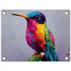 Kolibrie - Vogel - Regenboogkleuren - Verfstreken tuinposter los doek klein -3d