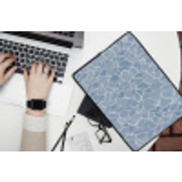 Abstract - Blauw - Bladeren laptophoes neopreen klein -bureau