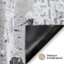 Berkenbomen - Sneeuw - Winter - Bos - Wit Deurmat klein -antislip_FR