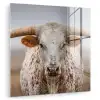 Longhorn - Grasveld - Dier plexiglas 5mm klein -zzzproduct_nieuw