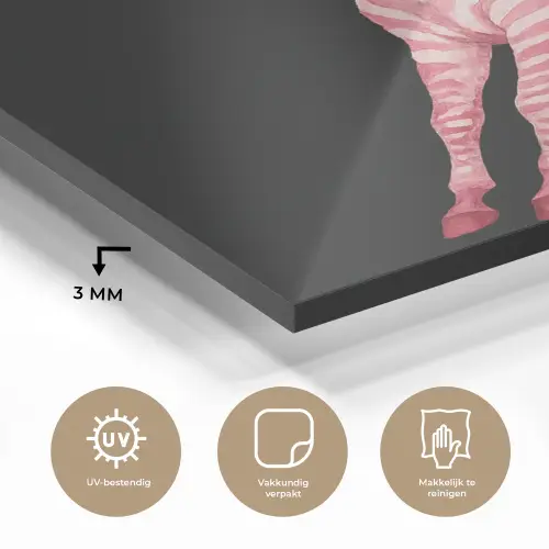 Zebra - Roze - Gestreept plexiglas 5mm klein -sfeer2