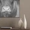 Schotse hooglander - Koe - Zwart - Wit - Dieren PET vilt klein -sfeer6_closeup