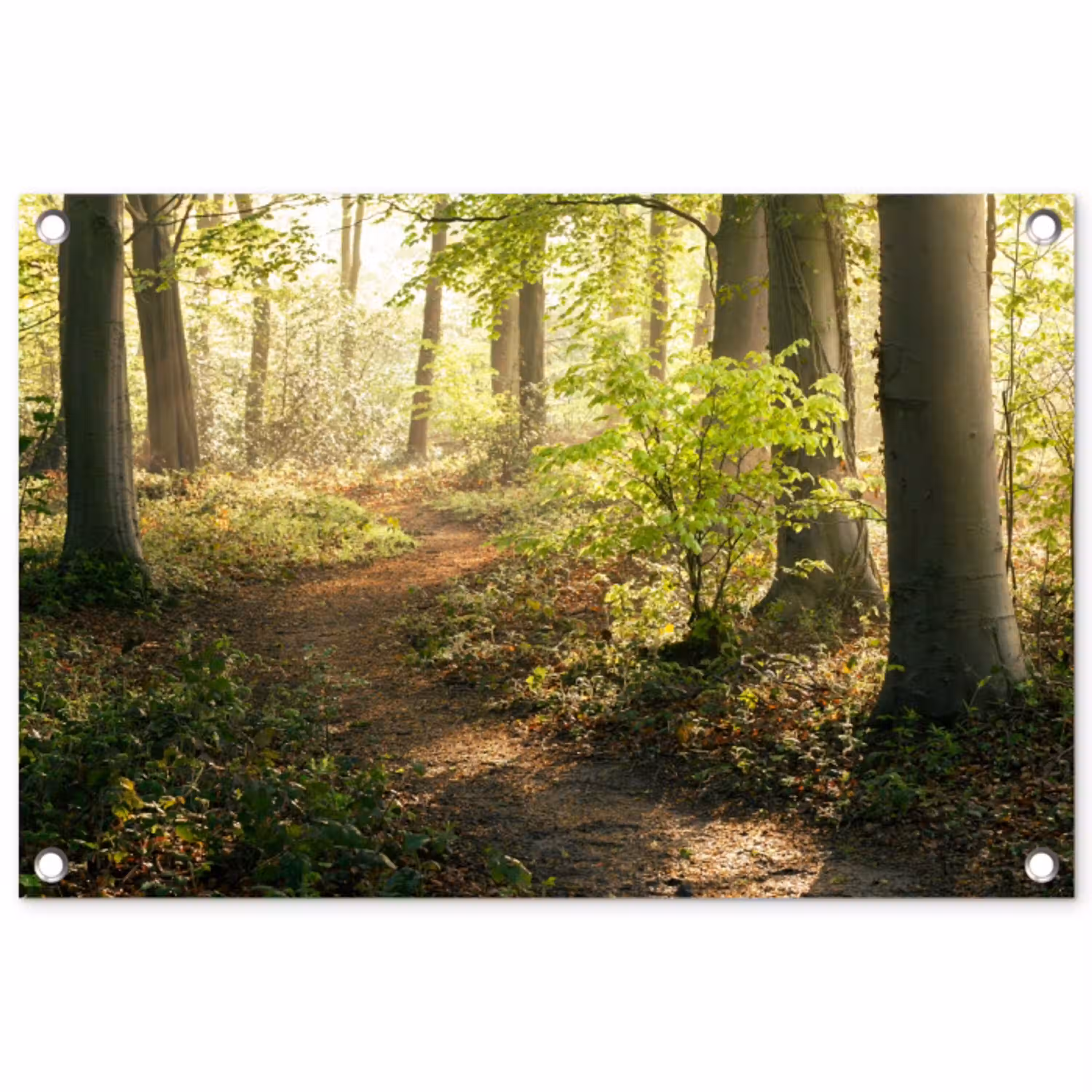 Bospad bij zonsopgang tuinposter los doek klein -3d