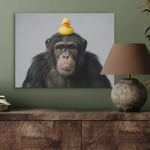 Chimpansee - Badeend - Grijs PET vilt klein -sfeer2