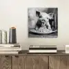 Varken - Schattig - Spaghetti - Zwart wit - Dier aluminium wit klein -sfeer1