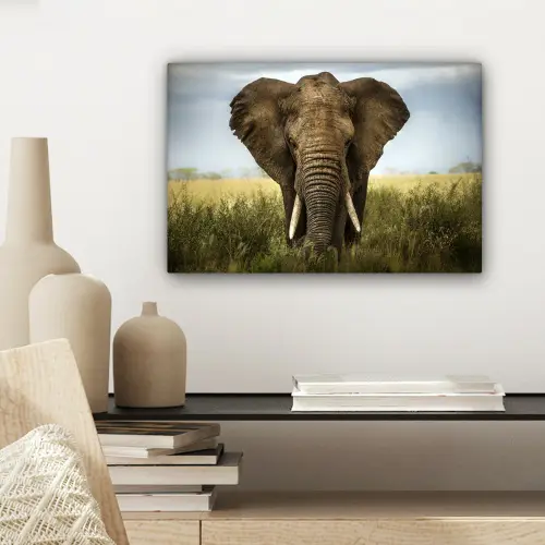 Olifant - Natuur - Gras - Dieren - Landschap canvas 2cm klein -sfeer6