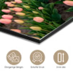 Tulpen - Landschap - Roze aluminium wit klein -closeup_DE