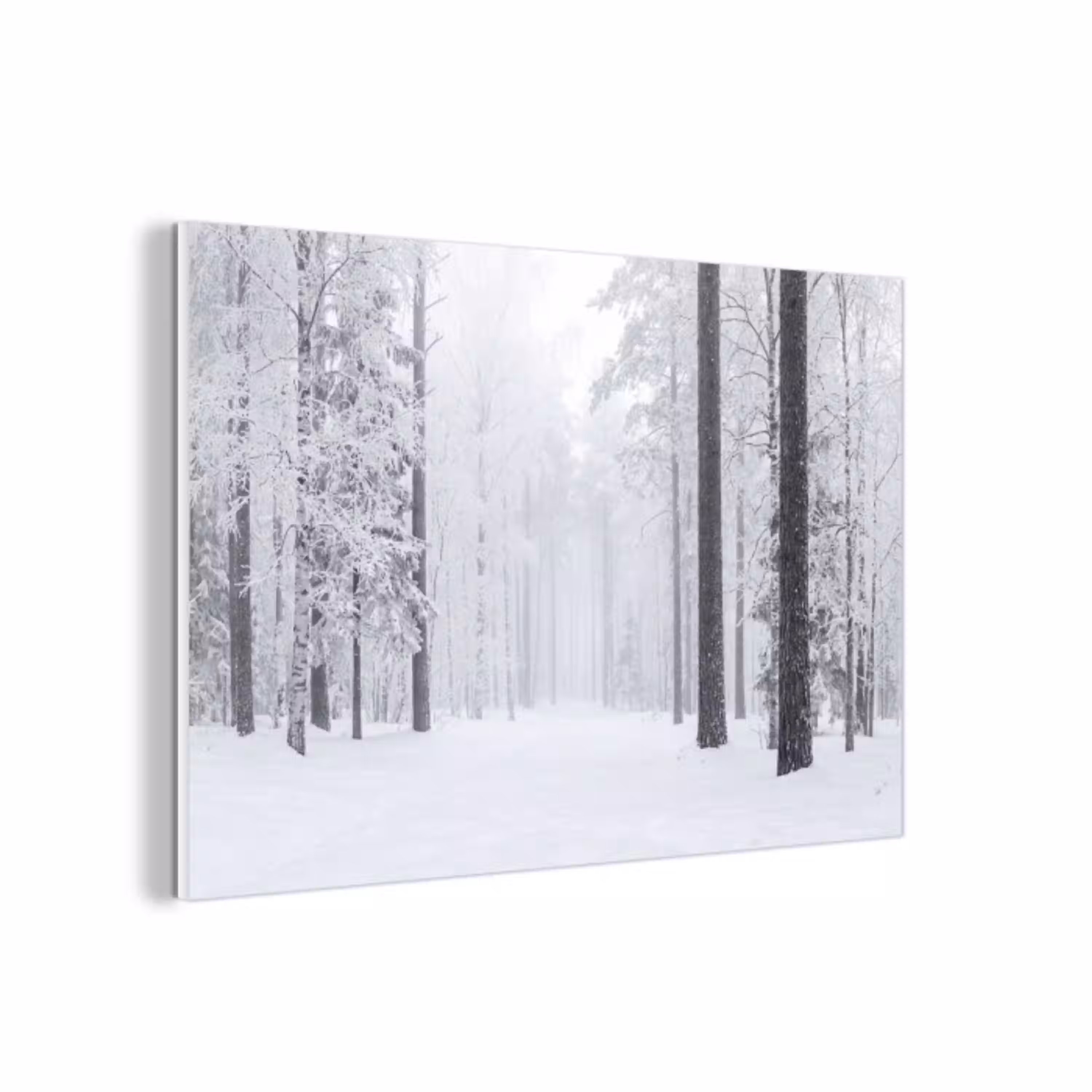 Bos - Sneeuw - Pad - Winter - Stilte forex 5mm xxl -3d