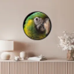 Ara - Portret - Groen Fotolijst rond zonder passe partout klein -sfeer3