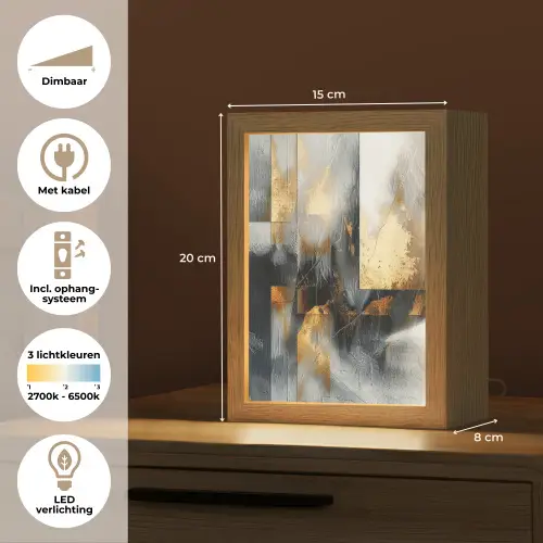 Kunst - Goud - Zilver - Abstract Light Box met kabel (Tafellamp) klein -USP_NL