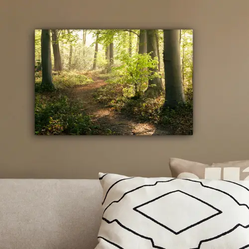 Bos - Bomen - Pad - Zon - Planten - Bladeren - Natuur canvas 2cm klein -sfeer3