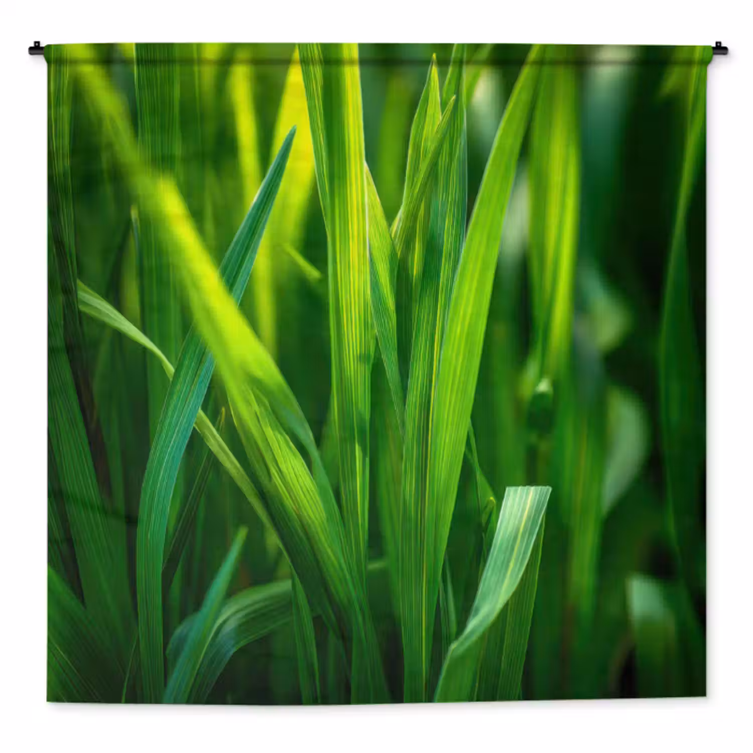 Wandkleed - Grassprieten - Lichtinval - Groen