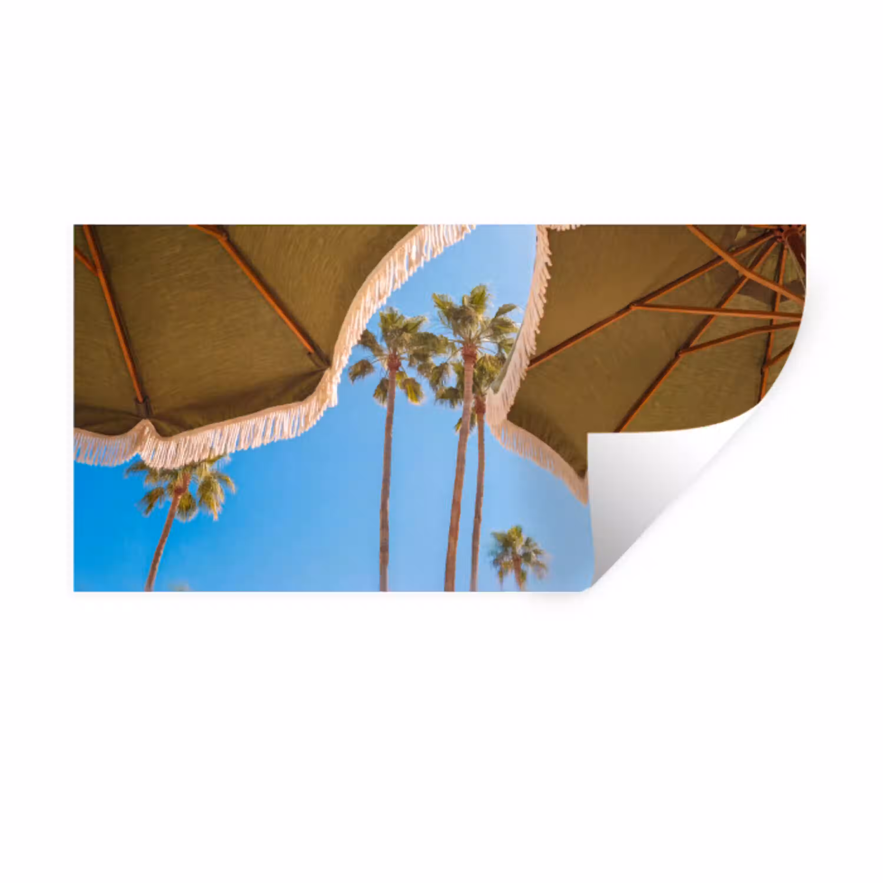 Parasol - Groen - Franjes - Zomer - Tropisch Muursticker klein -3d