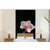 Orchidee - Bloemen - Zwart - Roze - Knoppen fotobehang vinyl groot -bed