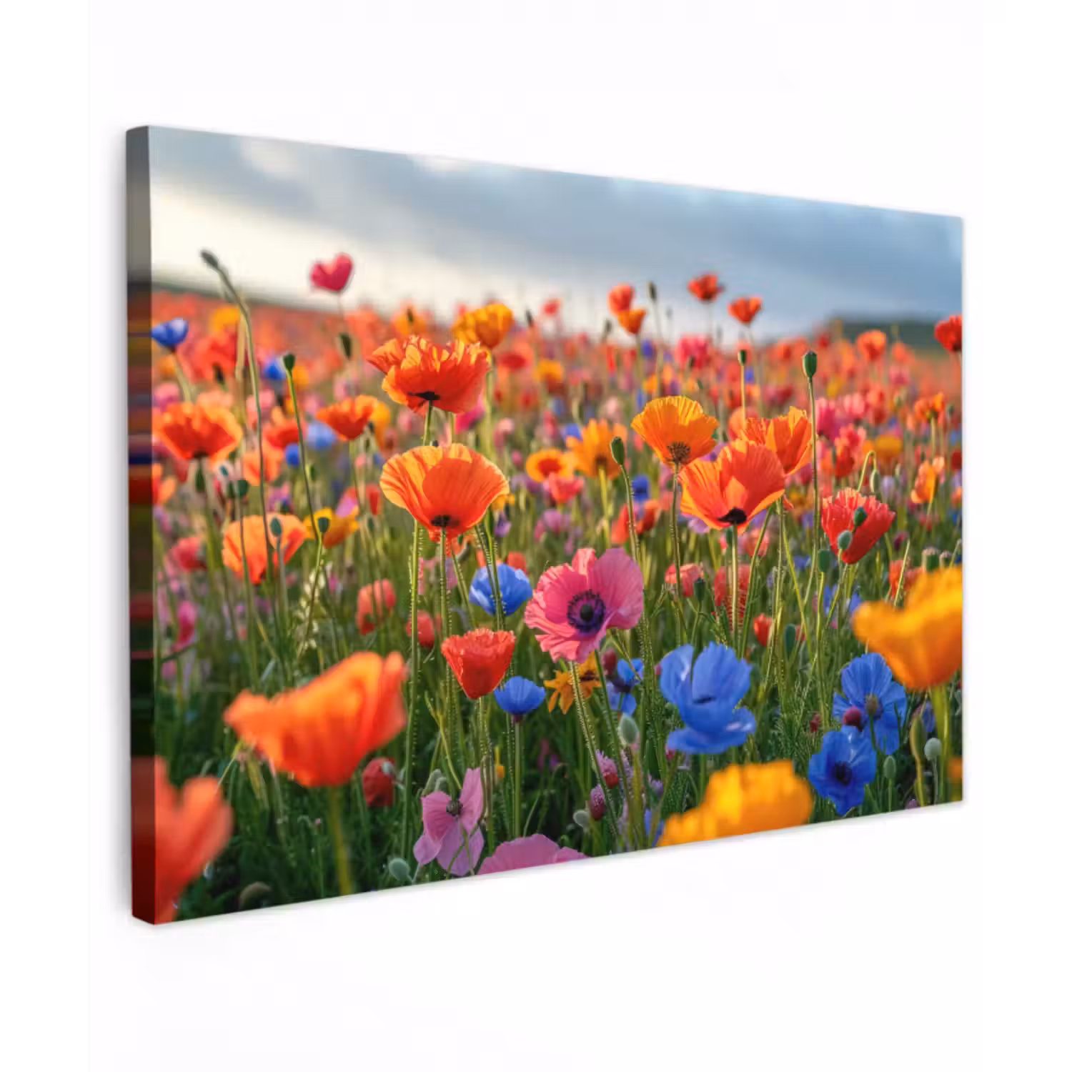 Outdoor Leinwand - Blumenwiese in voller Blüte