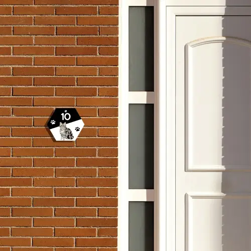 Zwart wit - Huisdier - Zilvergrijs gestreepte kat Naambord Hexagon klein -sfeer3-hexagon-XS