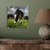 Koeien - Dieren - Gras - Weiland - Boerderij plexiglas 5mm klein -sfeer3