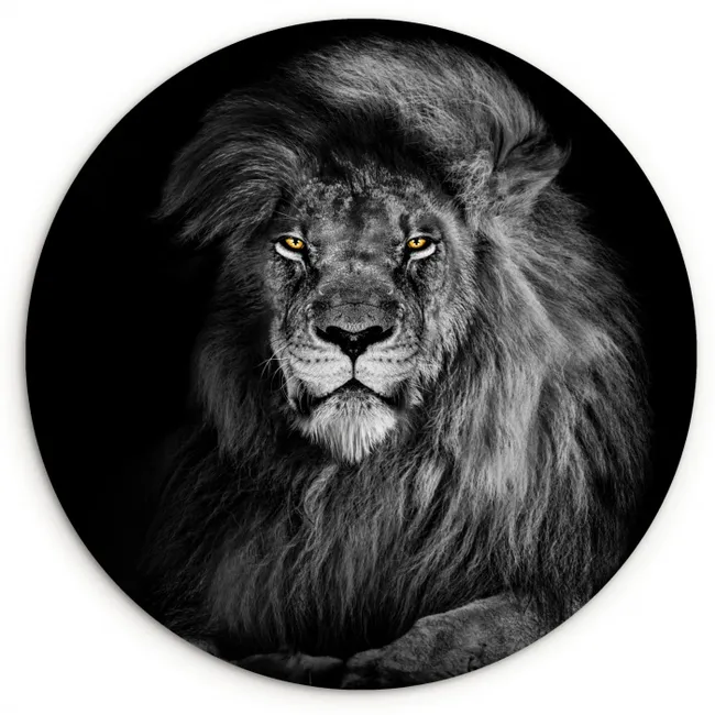 Leeuw - Ogen - Oranje - Zwart wit - Dieren - Portret Wandcirkel kunststof plaat 5mm dik klein -3d