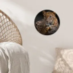 Wilde dieren - Panter - Portret - Zwart - Dieren Wandcirkel behangsticker klein -sfeer4