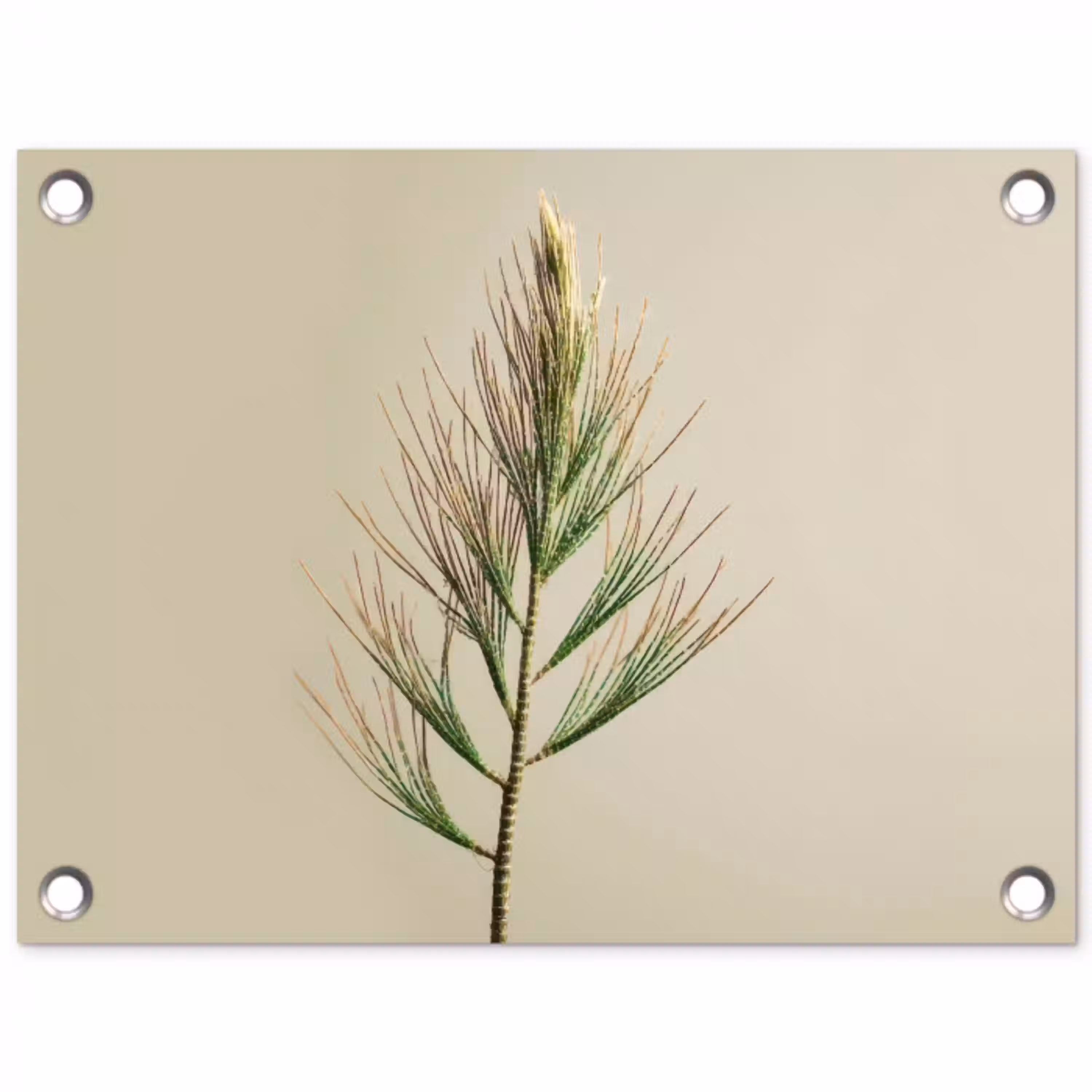 Dennentak - Naaldvormige bladeren - Lichtgroen tuinposter los doek klein -3d
