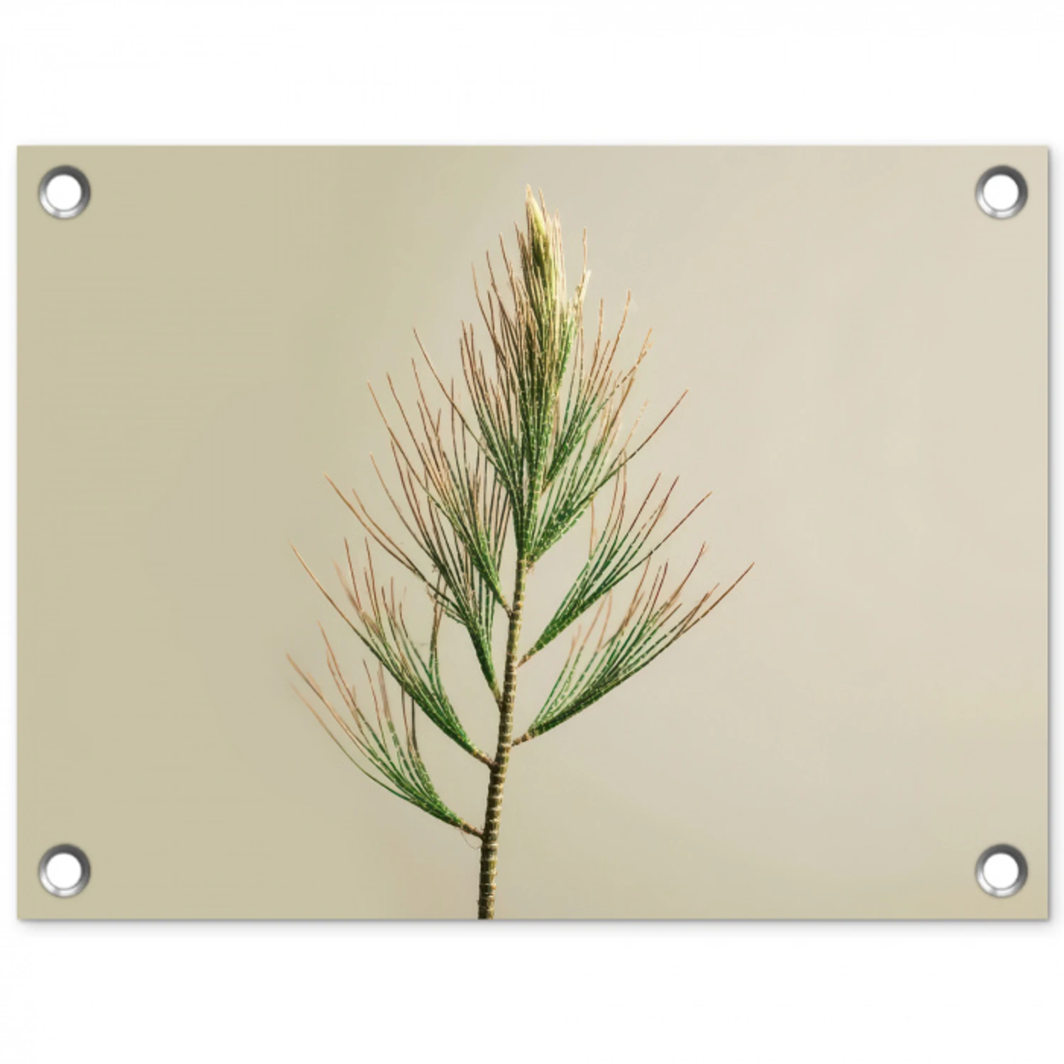 Dennentak - Naaldvormige bladeren - Lichtgroen tuinposter los doek klein -3d