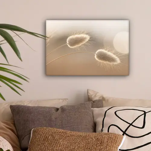 Hazestaartgras - Graanharen - Zonlicht canvas 2cm klein -sfeer1