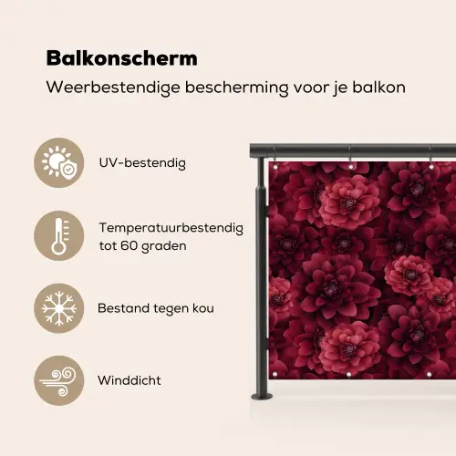 Dahlias - Bloemen - Rood Balkonbeschermer Duitsland klein 596 -specs_NL