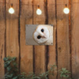 Uil - Bruin - Wit tuinposter los doek klein -sfeer1