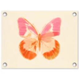 Oranje - Vlinder - Minimalistisch tuinposter los doek klein -3d